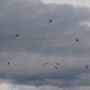 Aviation
